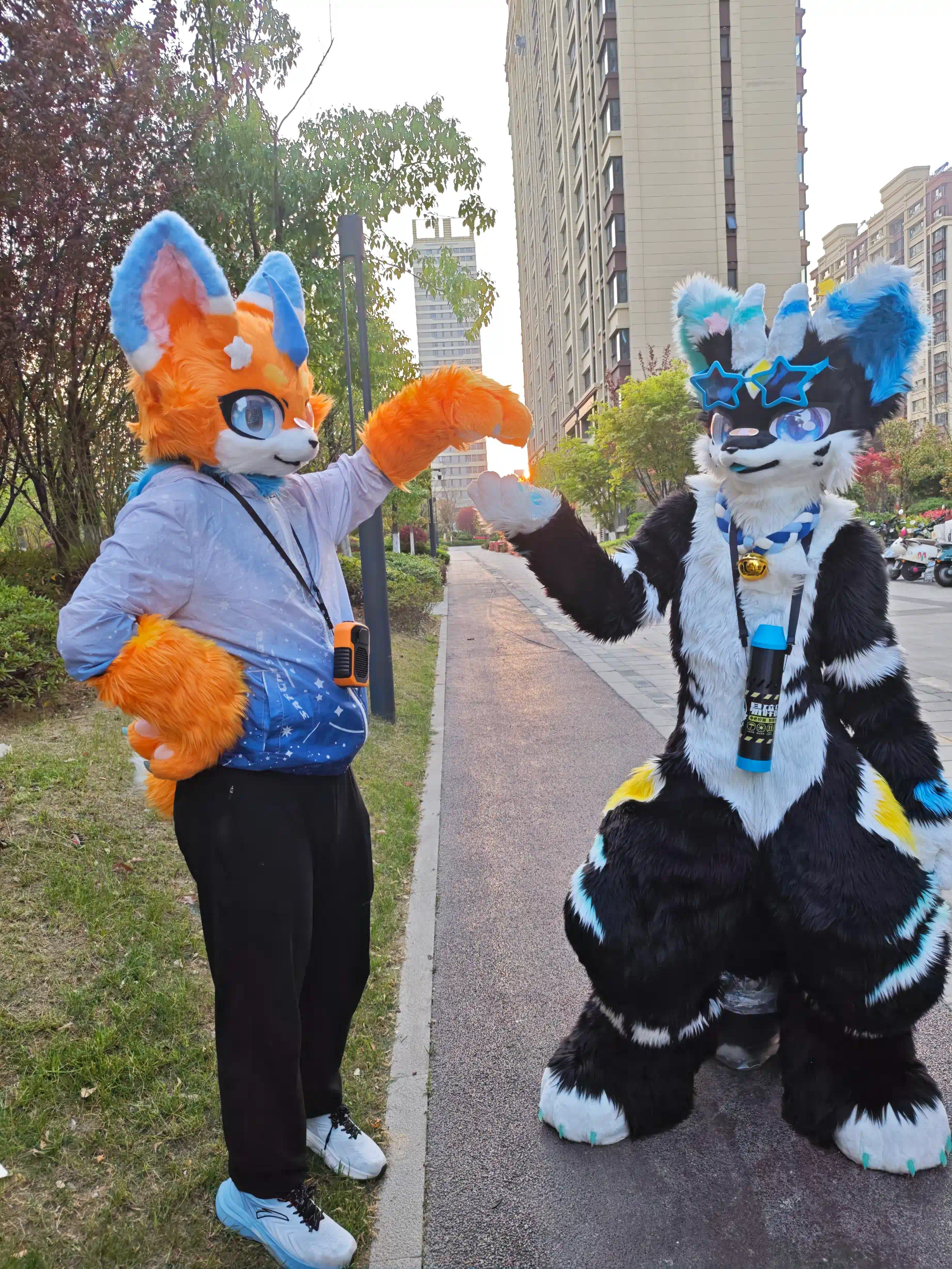 和宇喵手搓太阳~